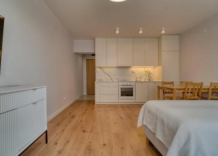 哈姆克公寓 * 奥尔什丁